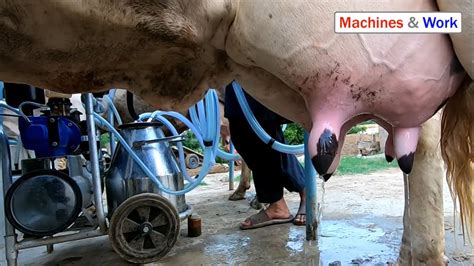 woman milking machine|Woman Milking Machine Porn Videos 